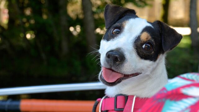 2026年2月5日の カレンダー＆マーケット